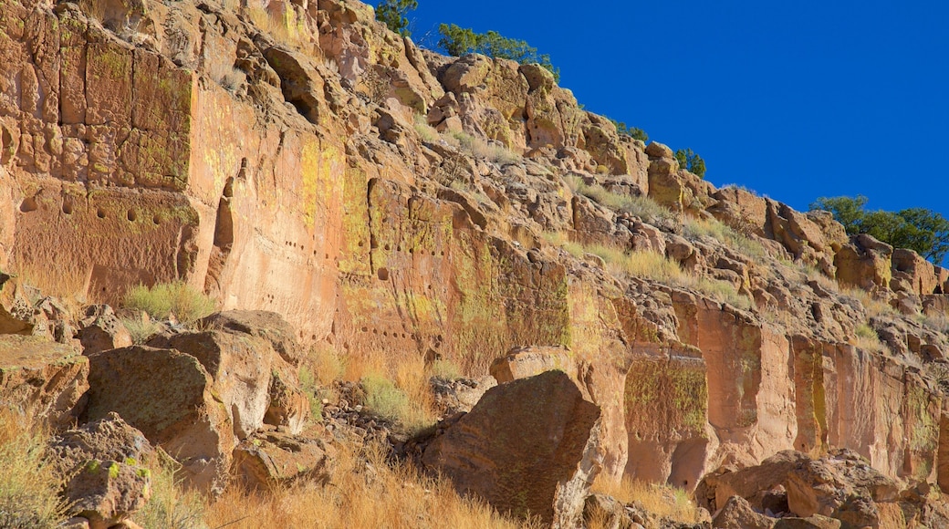 ํธ์ ํด๋ฆฌํ ๊ฑฐ์ฃผ์ง ์ ํน์ง ํ์ ํ ํ๊ฒฝ