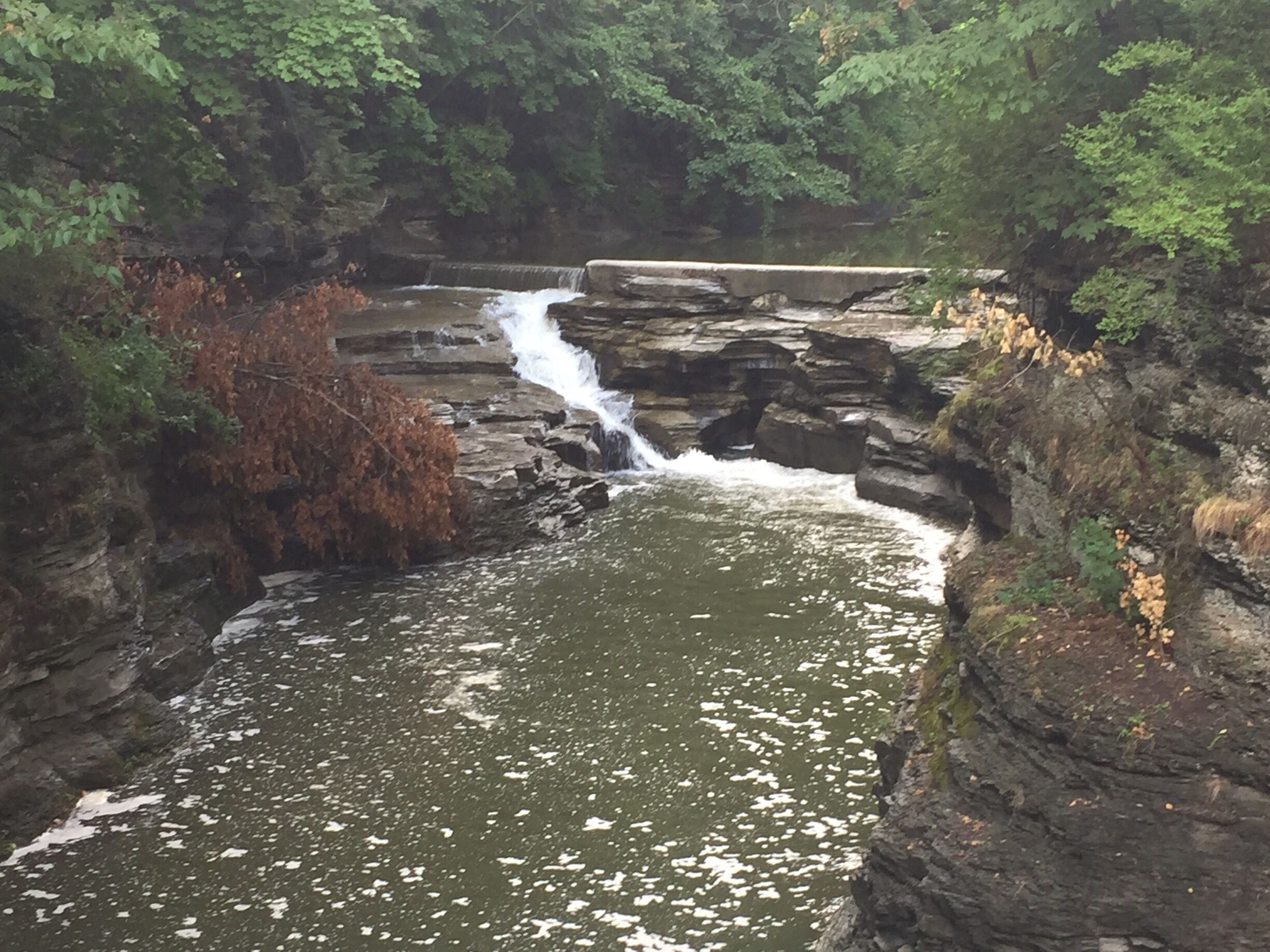 Not sure the name of this fall- Cornell University 