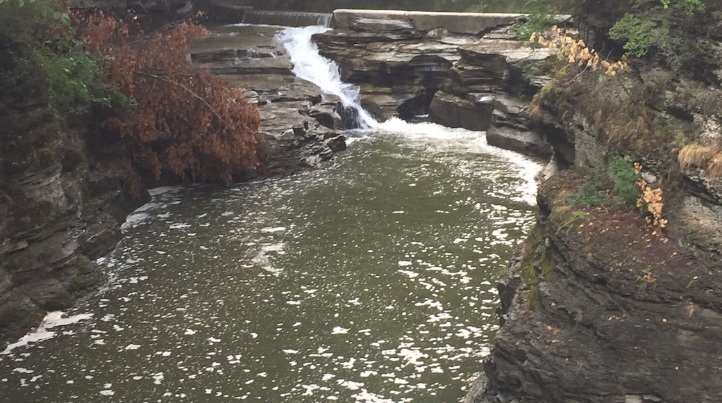 Not sure the name of this fall- Cornell University