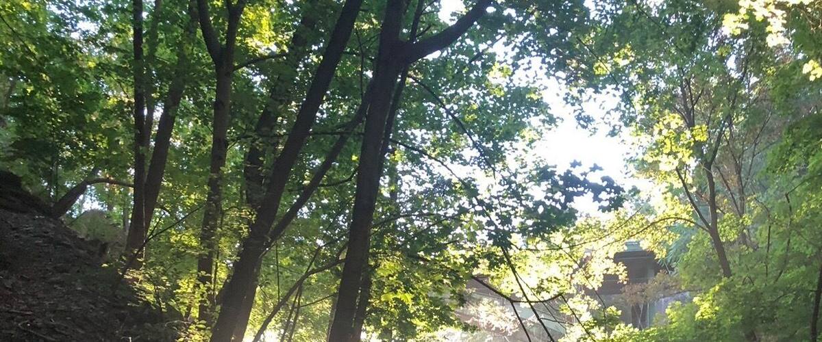 Cornell is for lovers