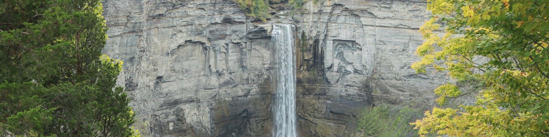A perfect waterfall on its way to Cayuga Lake. The trees provide scale.
