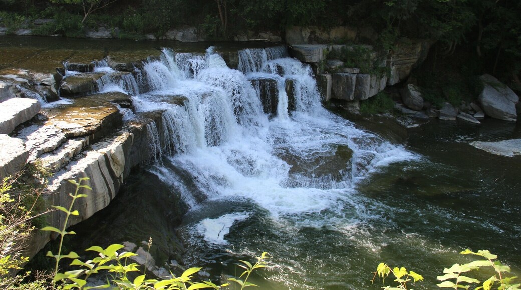 The park gets its name from its main attraction the Taughannock Falls which is a 215 ft waterfall in the park. However there are many smaller cascades as you take the trail to see the Taughannock falls. Close to the park is the Cayuga lake with a marina and boat launch and you can see it from the gorge and rim trails in the park. #waterfalls #statepark #parks