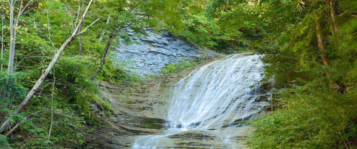 Parc d\'état de Buttermilk Falls mettant en vedette scènes tranquilles et rivière ou ruisseau
