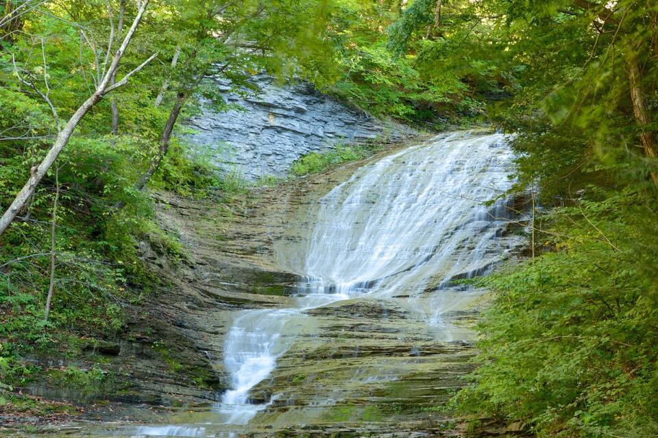 A waterfall cascading over layered rock formations surrounded by dense green foliage.