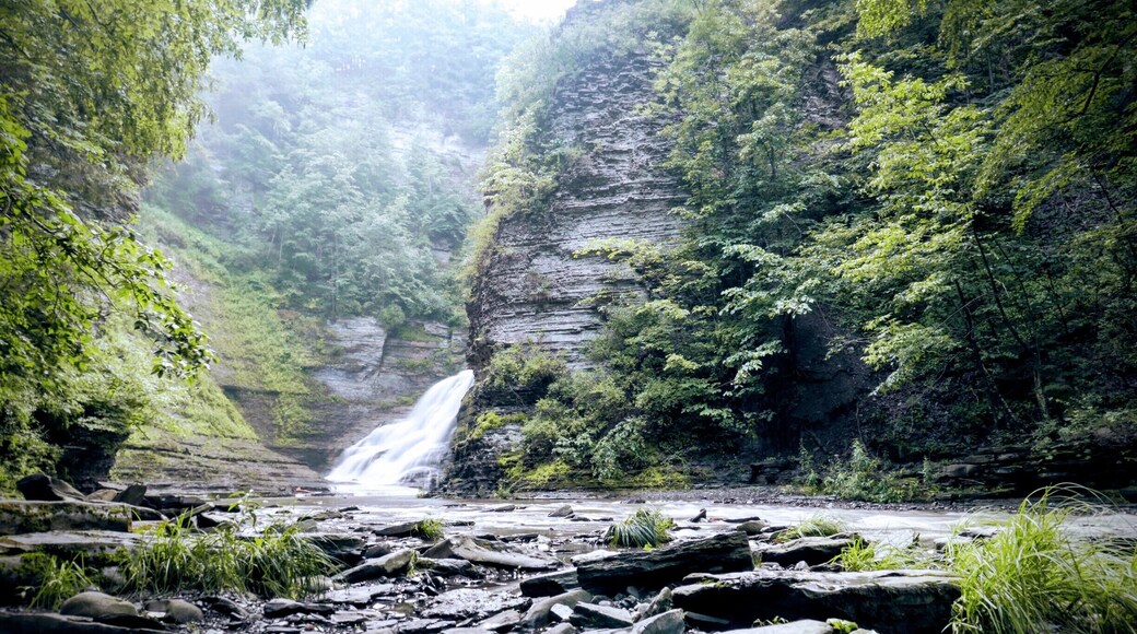 The lighting was perfect just after the rain on this afternoon hike thru the one mile loop. We were camping but opted you drive to the other side of the park (partially due to the sore legs from the morning hike at another park) we almost didn't go at all but I'm so glad we did. Seeing Lucifer's Falls from all angles was unbelievable and I'll never forget it. Highlight of the adventure for sure. #upstateny #newyorkstate #waterfalls #TakeAHike