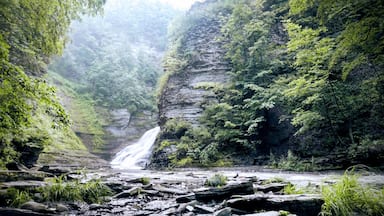 Una cascada en un cañón exuberante y verde, con terreno rocoso y vegetación densa.