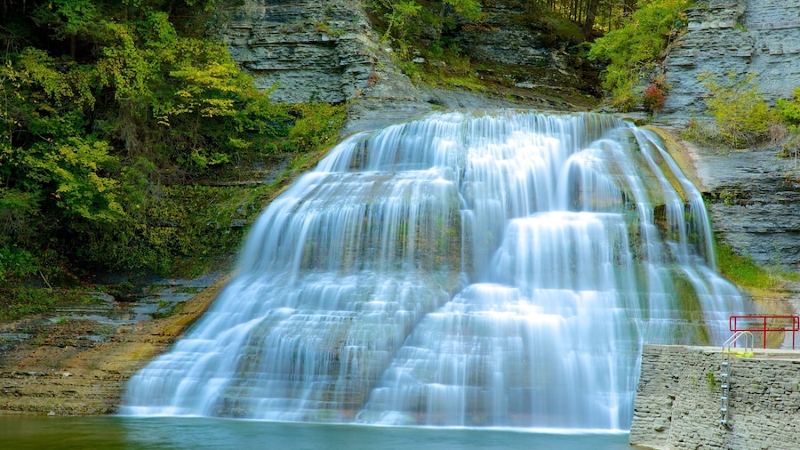 Robert H. Treman State Park which includes a waterfall
