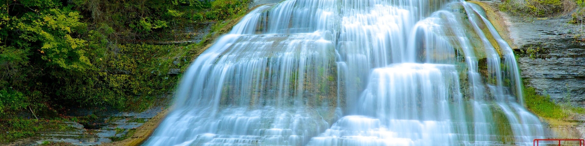 Robert H. Treman State Park which includes a waterfall