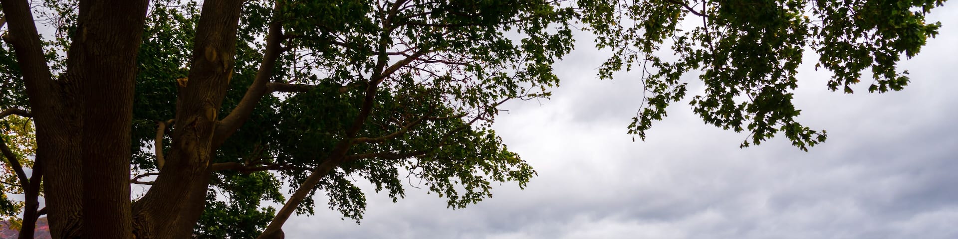 Une rivière bordée d’arbres et de collines aux couleurs automnales.
