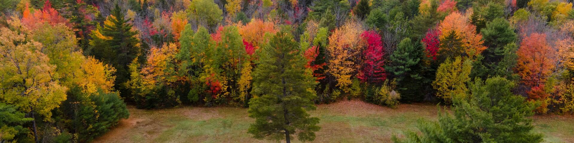 Aerial view of colorful autumn foliage in serene forest and majestic mountains, Bethel, United States.