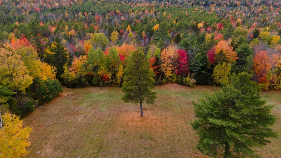 Aerial view of colorful autumn foliage in serene forest and majestic mountains, Bethel, United States.