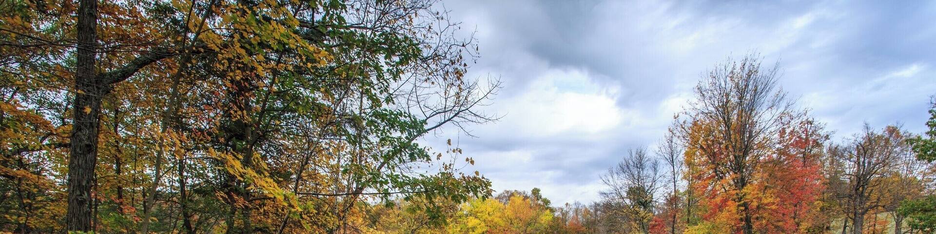 Beautiful reflections.