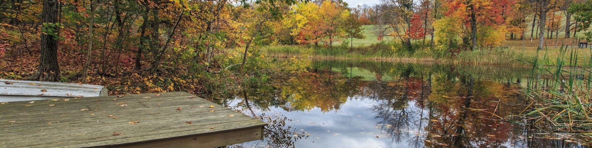 Beautiful reflections.