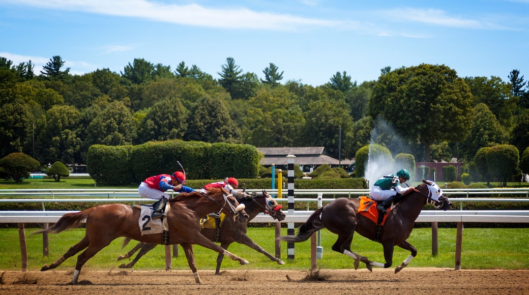 Saratoga billøpsbane