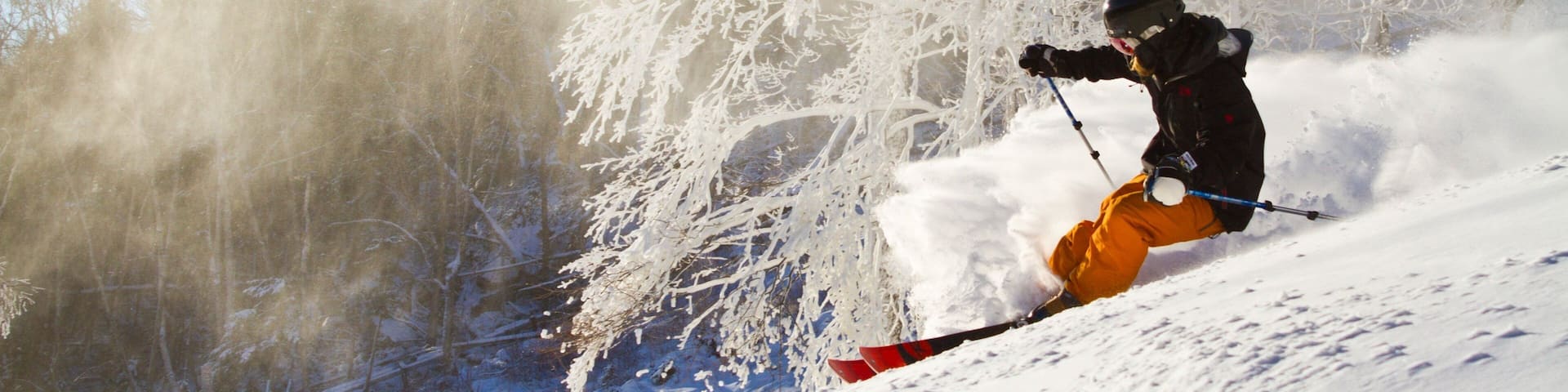 ホワイトフェイス マウンテン どの含み 雪 と スキー 及び 男性 (個人)