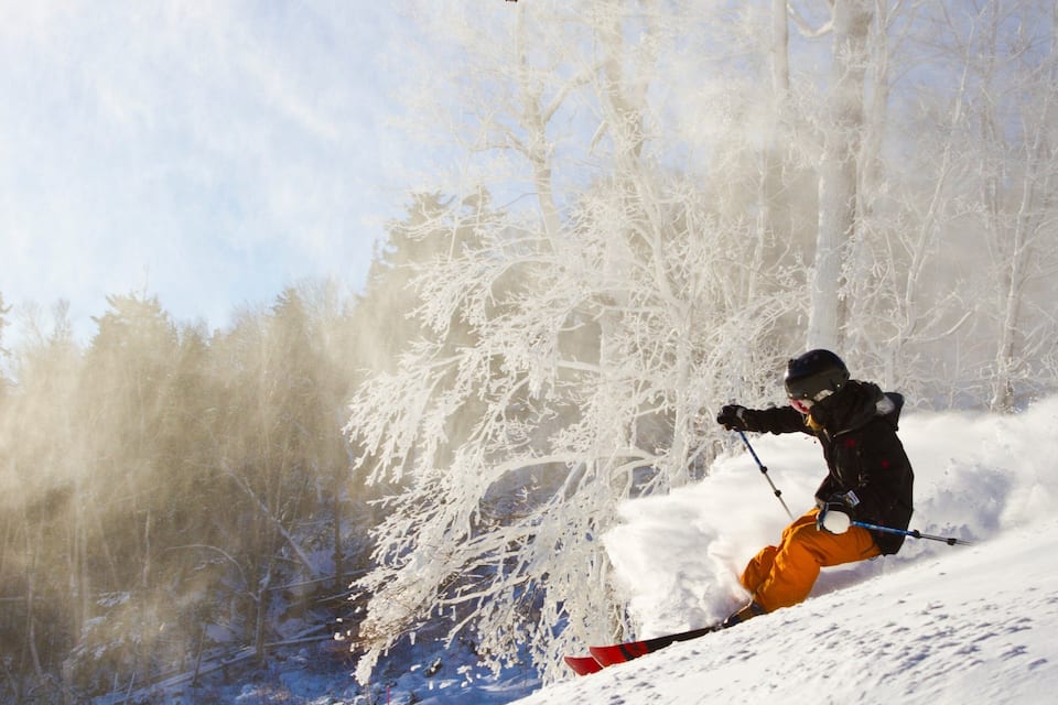 A skier in a forested area with snow-covered trees and a clear sky.