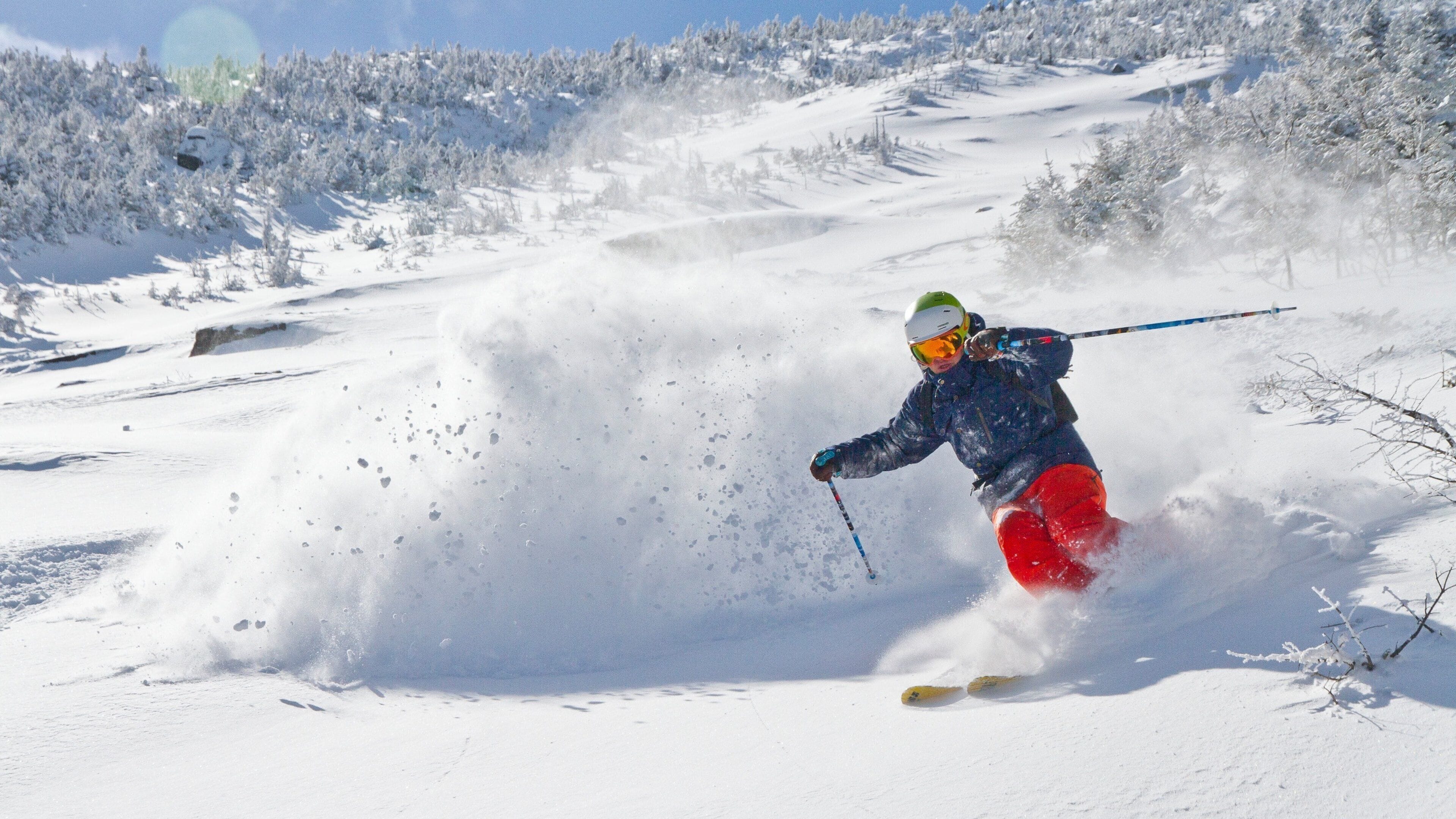 A skier in motion on a snowy slope with trees in the background.