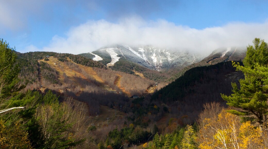 Whiteface Mountain showing mountains, forest scenes and snow