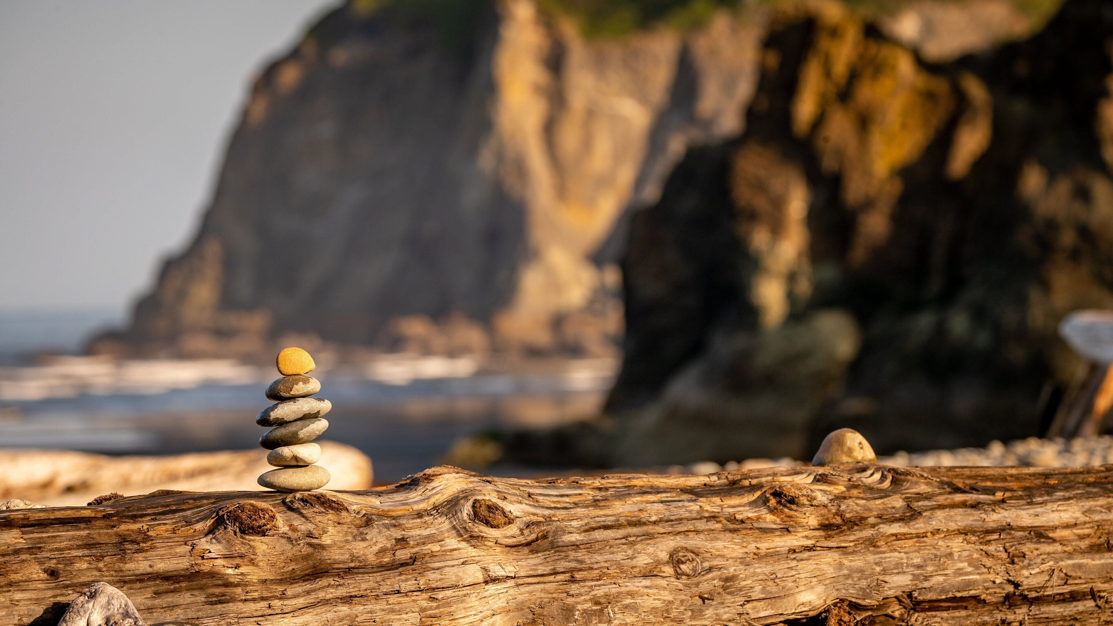 Ruby Beach featuring rugged coastline