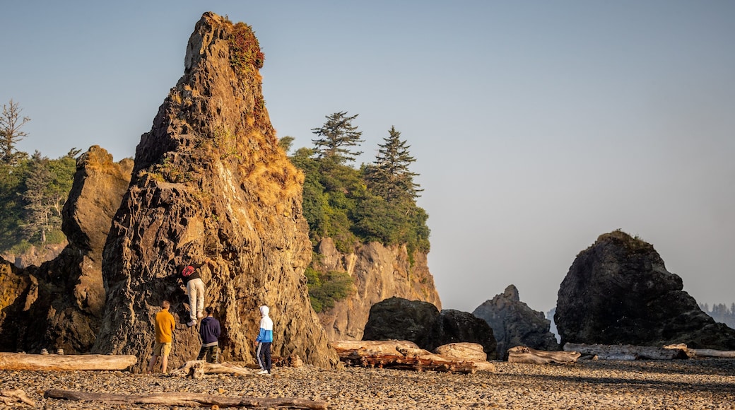 Ruby Beach featuring rugged coastline and general coastal views as well as children