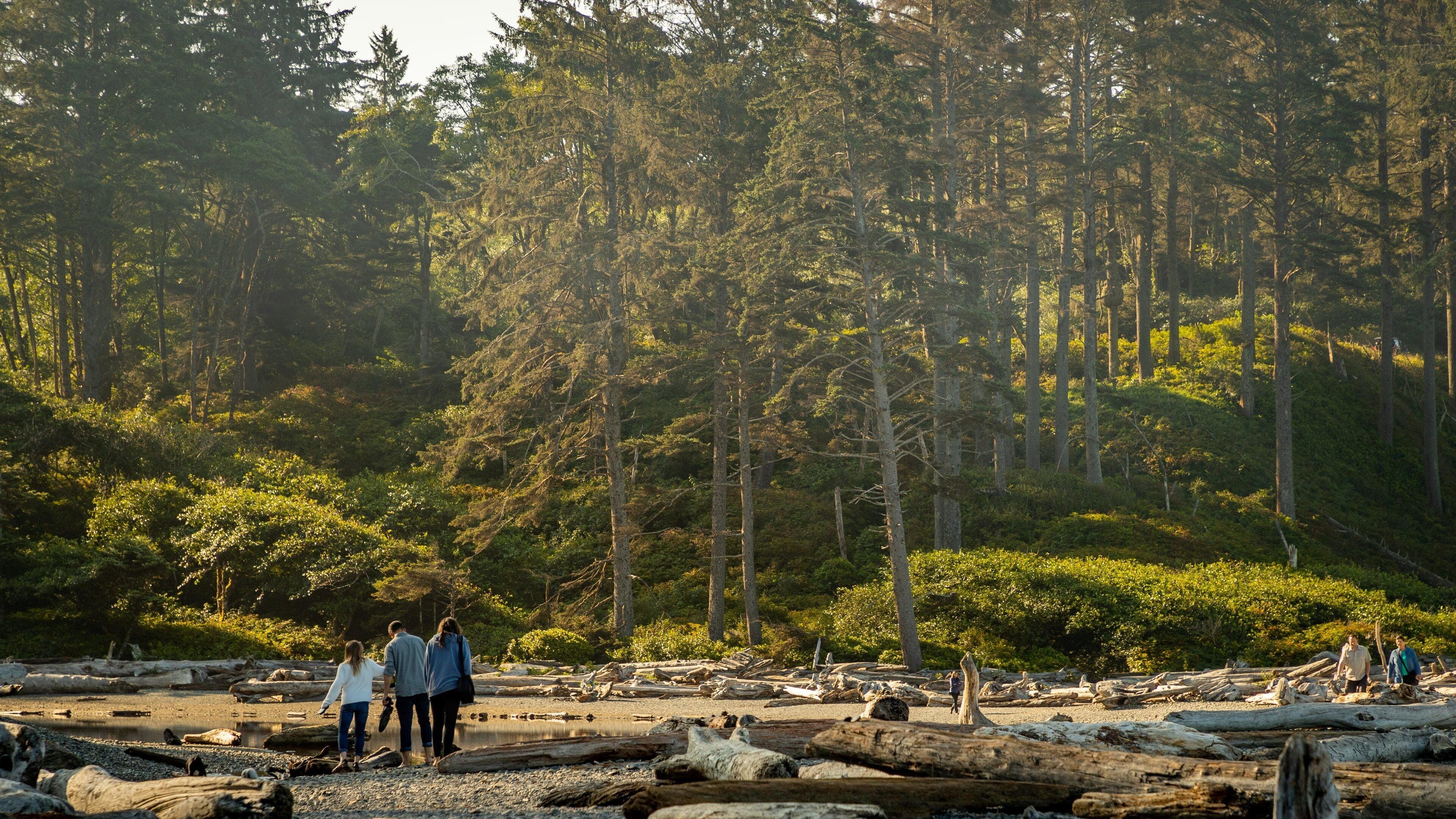Ruby Beach which includes general coastal views and a sunset as well as a family