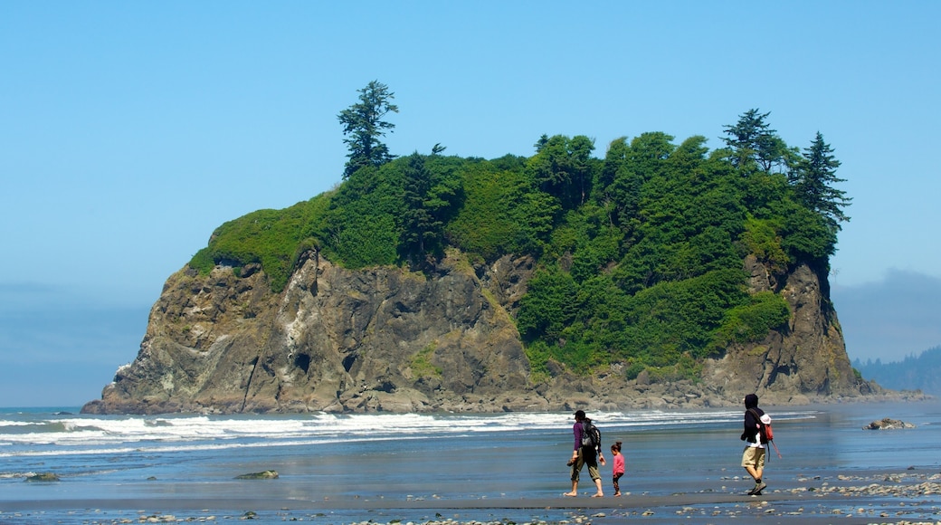 露比海灘 其中包括 綜覽海岸風景 以及 一個家庭