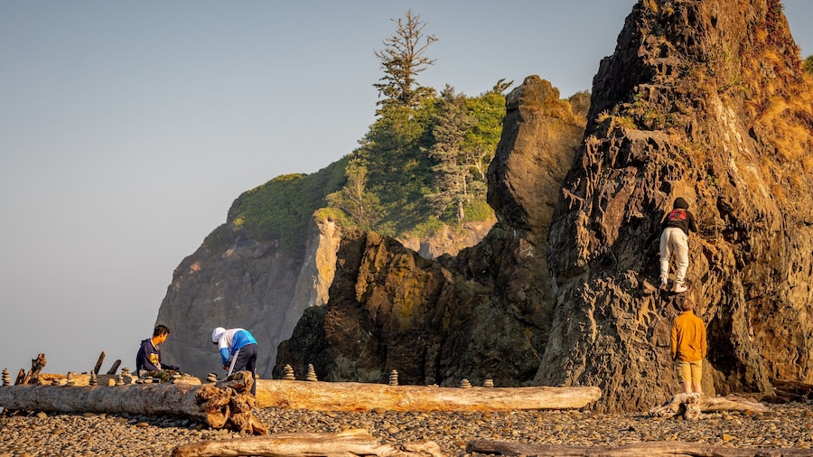 Ruby Beach featuring general coastal views and rocky coastline as well as children