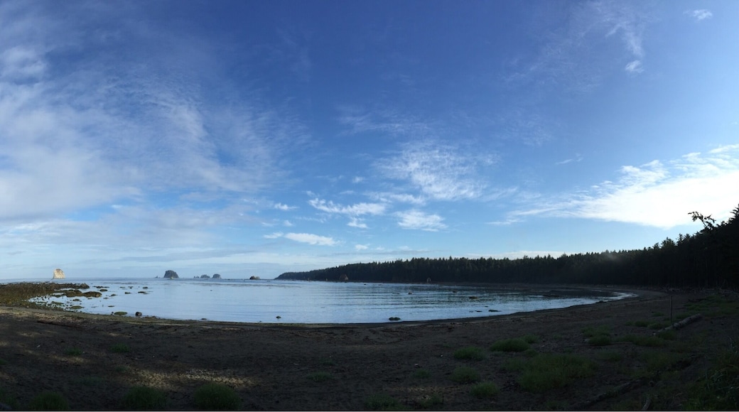 Sand Point...near Lake Ozette