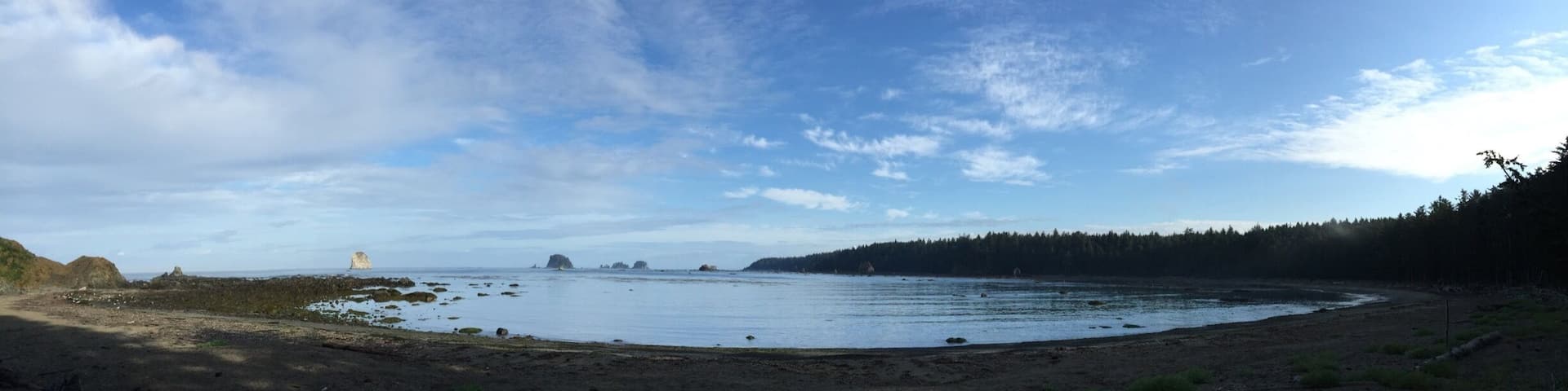 Sand Point...near Lake Ozette
