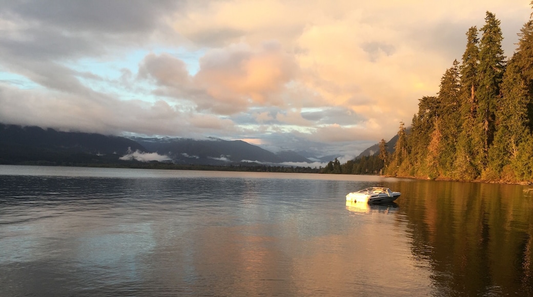 #lakequinault #washington #wa #washintonstate #northwest #pnw #pacificnorthwest