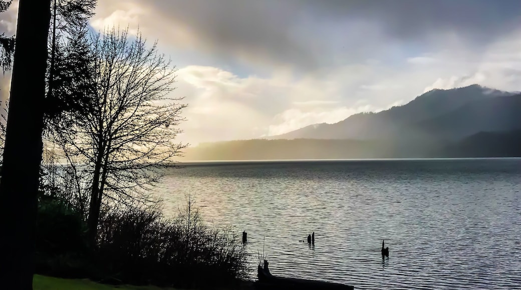 I also hadn’t visited Lake Quinault Lodge in years. It was peaceful and quiet. A little too quiet for teens on Spring Break! 😁 #LakeQuinault #OlympicNationalPark #SpringBreak2018
