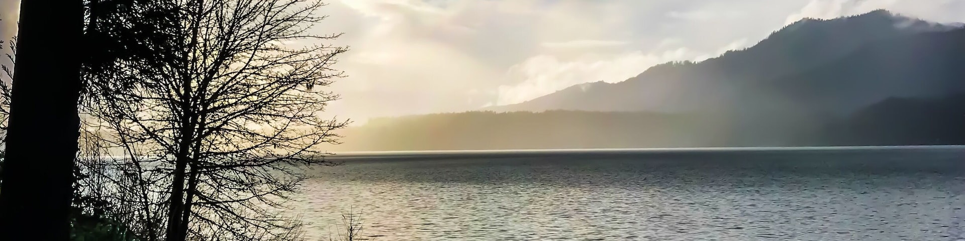 I also hadn’t visited Lake Quinault Lodge in years. It was peaceful and quiet. A little too quiet for teens on Spring Break! 😁 #LakeQuinault #OlympicNationalPark #SpringBreak2018