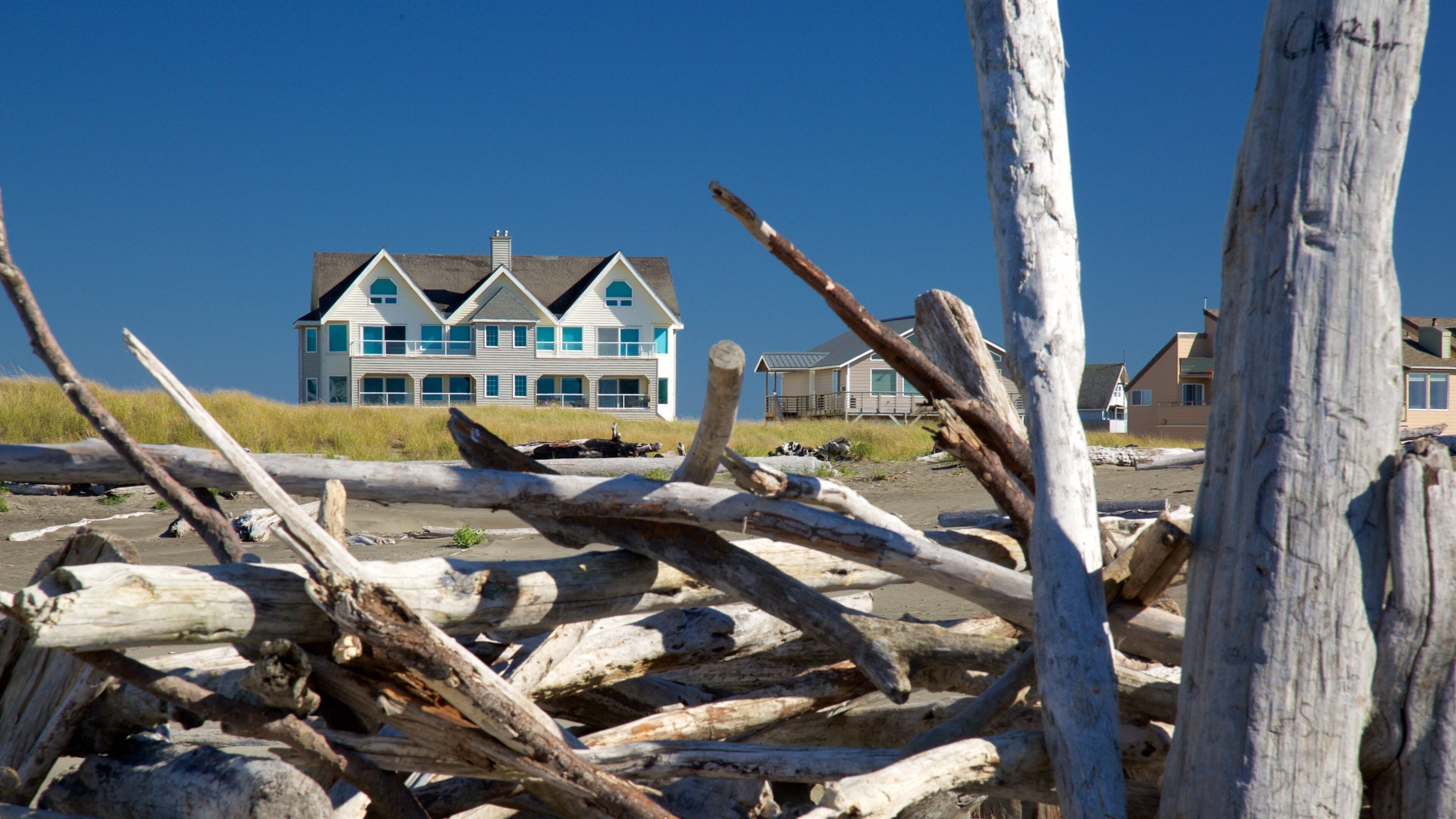 前往大西洋海岸：大西洋海岸华盛顿之旅精选2026 | Expedia 旅行