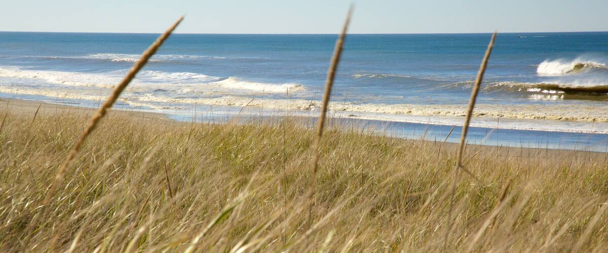 Ocean Shores Beach das einen allgemeine Küstenansicht