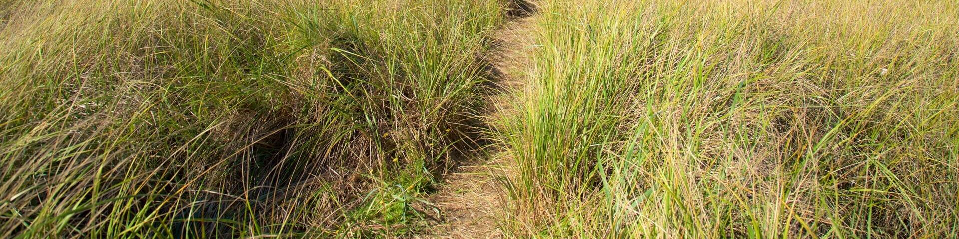 Ocean Shores Beach which includes general coastal views