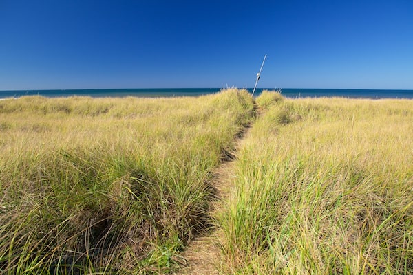 Ocean Shores Beach featuring general coastal views
