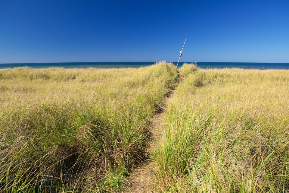 A grassy path leading to the ocean with a clear blue sky.