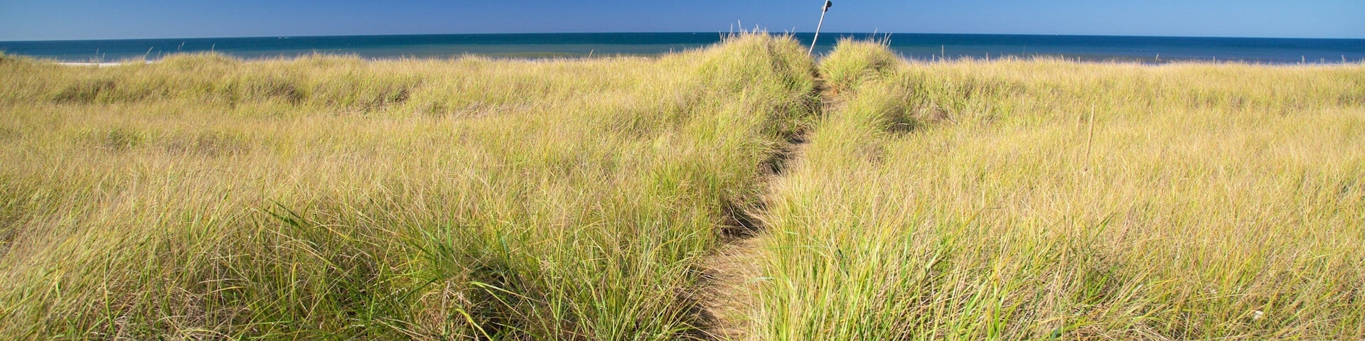 Ocean Shores Beach featuring general coastal views