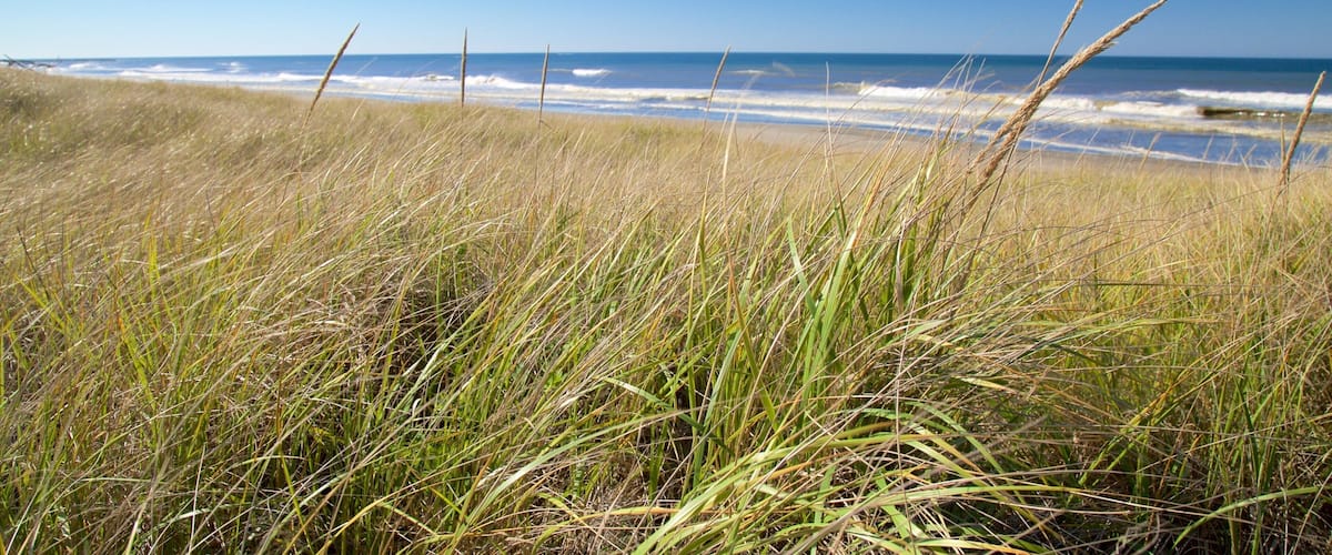 Plage d\'Ocean Shores mettant en vedette vues littorales et surf