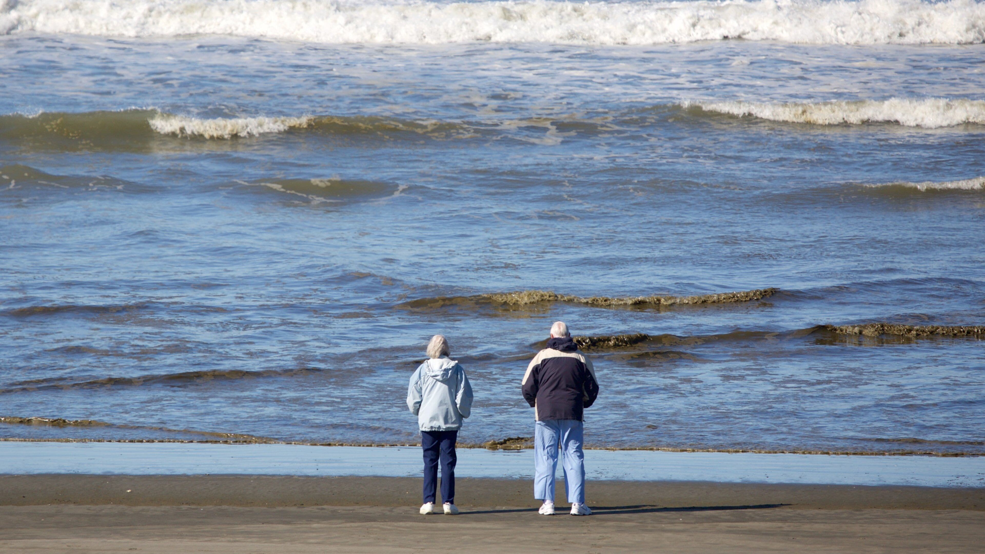 หาด Ocean Shores เนื้  อเรื่องที่ ชายฝั่งทะเล และ ชายหาด ตลอดจน คนกลุ่มเล็ก