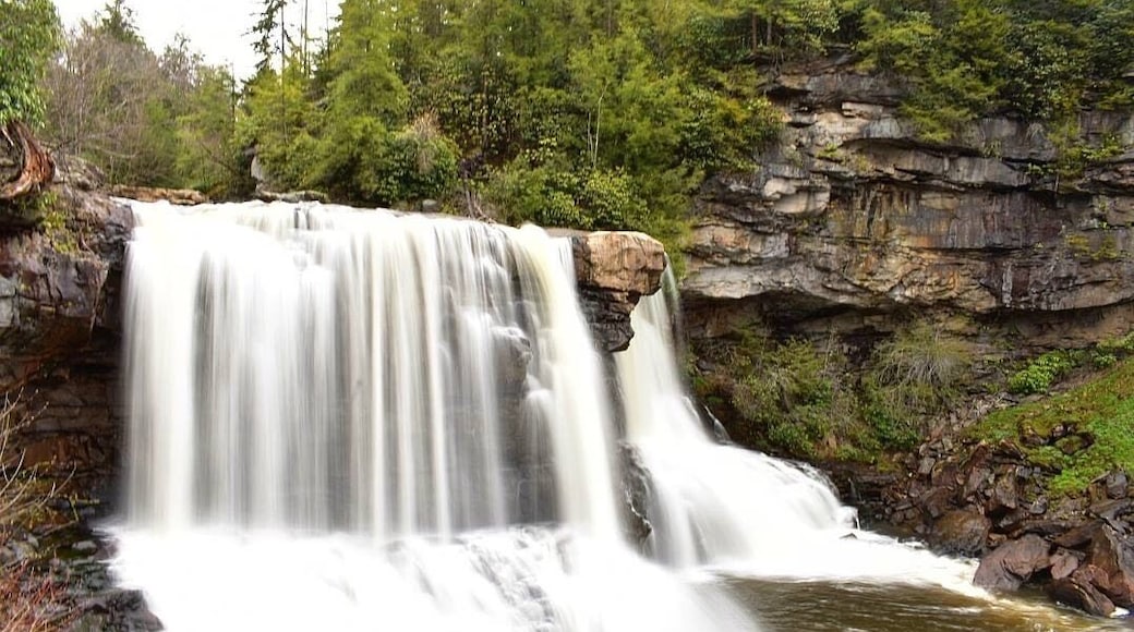 Blackwater falls #Trovember #Trovemberphotocontest #wv #hiddentreasures