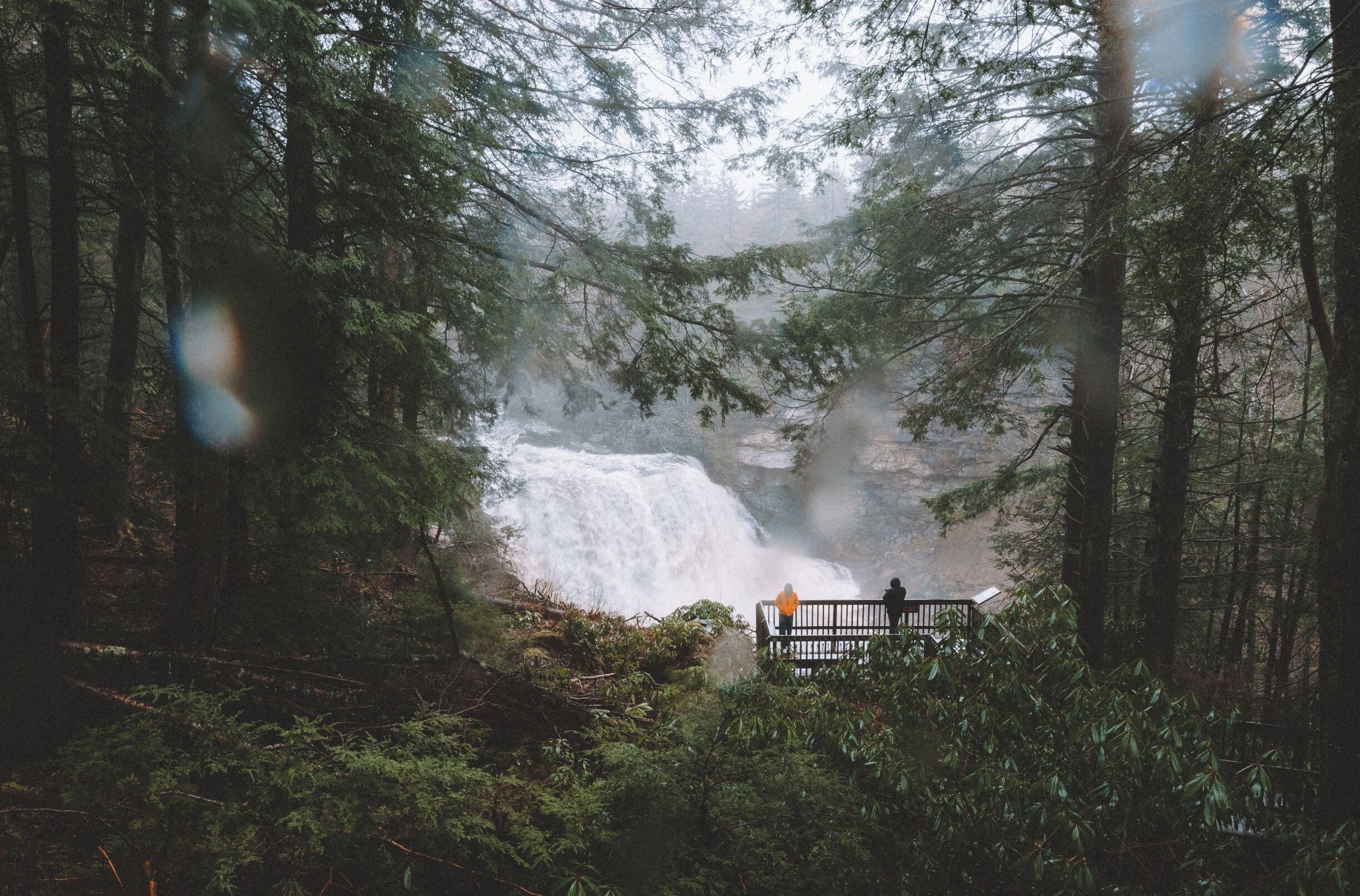 Explore Blackwater Falls State Park in West Virginia. It's even better on a rainy day. 