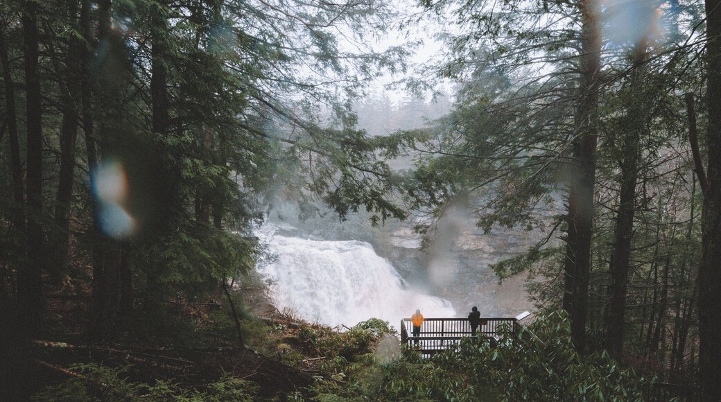 Explore Blackwater Falls State Park in West Virginia. It's even better on a rainy day.