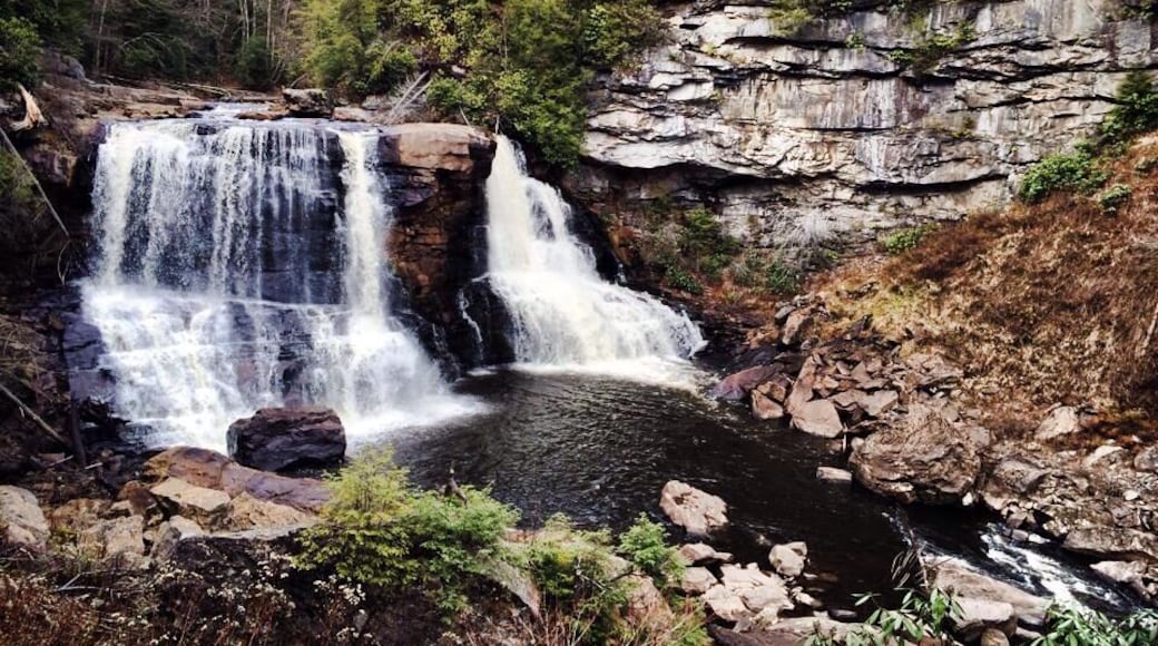 Short, easy hike. Worth a pit stop!