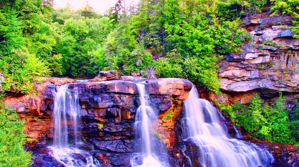 #Trovember #BlackwaterFalls #my #favorite #waterfalls.