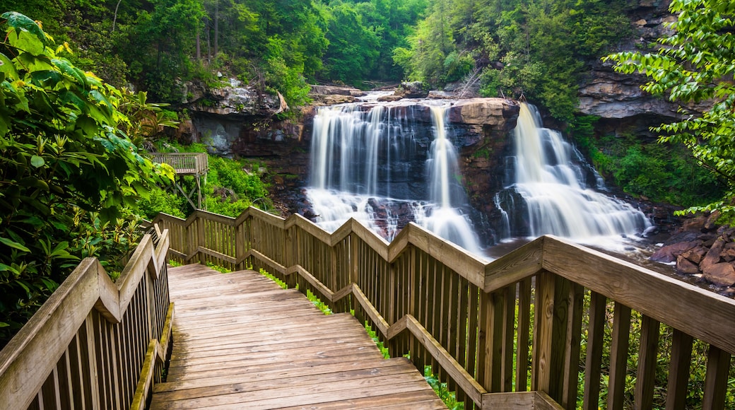 Blackwater Falls and a trail at Blackwater Falls State Park, Wes