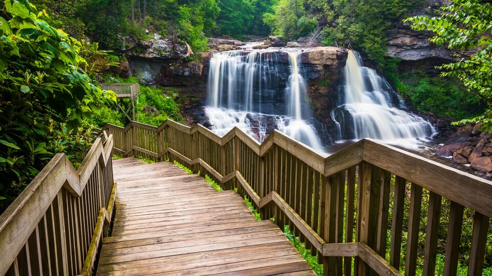 A wooden staircase leading to a waterfall surrounded by lush greenery.