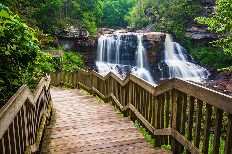A wooden staircase leading to a waterfall surrounded by lush greenery.