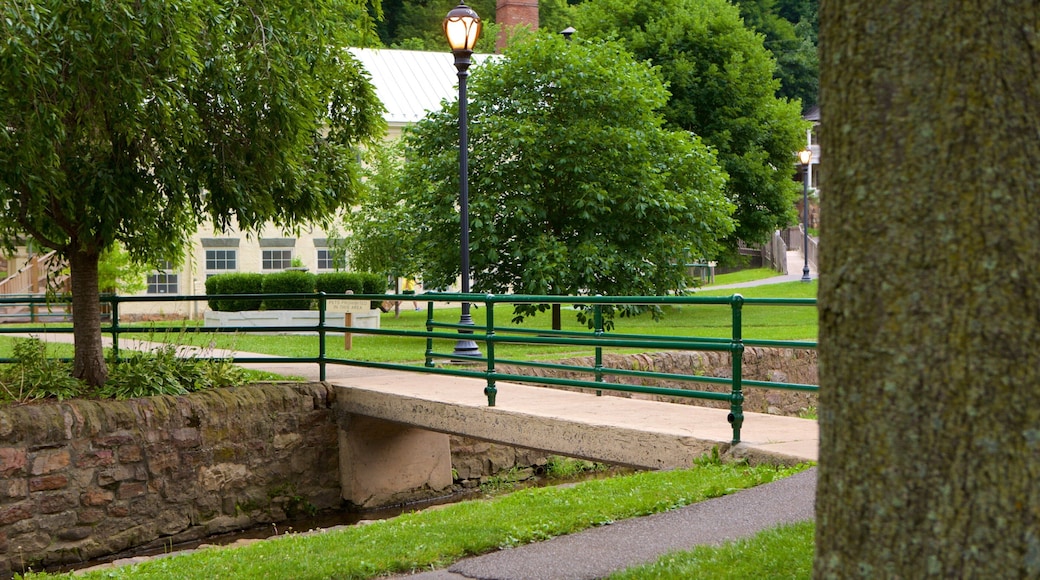 Berkeley Springs State Park which includes a park and a bridge