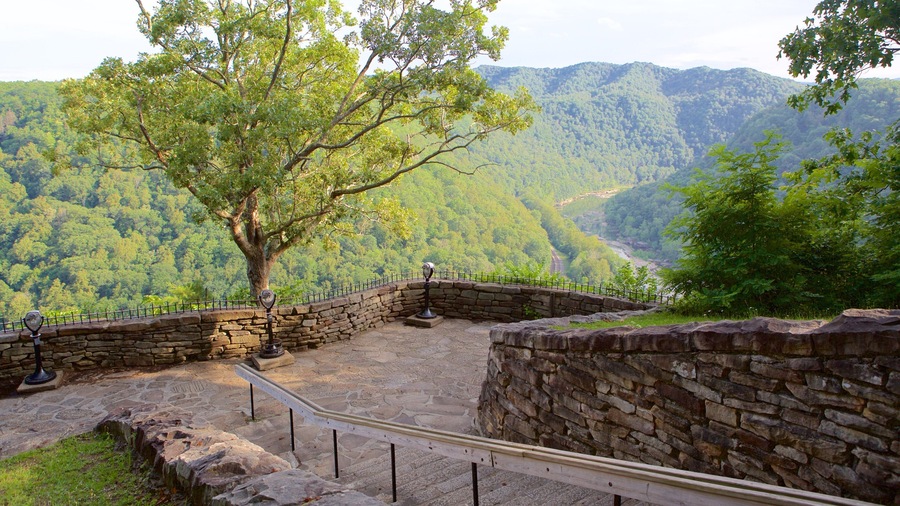 A stone observation platform with a metal railing overlooking a valley with a large tree and mountains in the background.